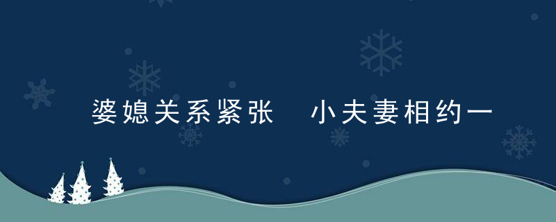 婆媳关系紧张 小夫妻相约一起变性再相爱